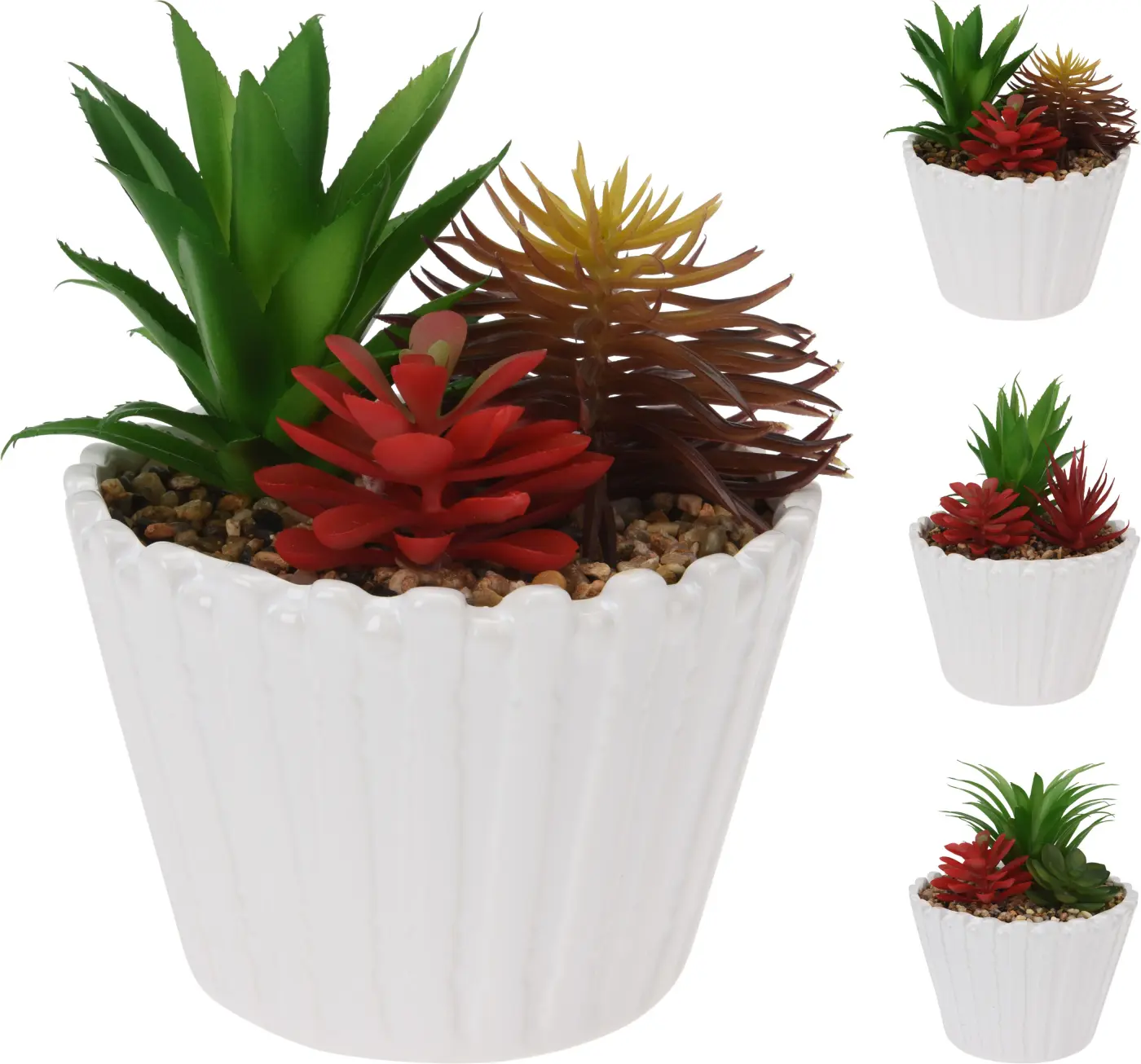 Dekopflanze Succulent Dekopflanze Succulent