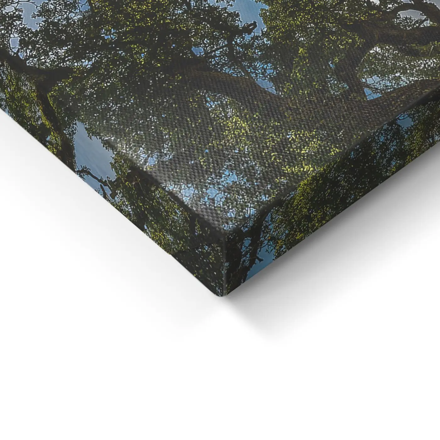 Leinwandbild Green Valley 60 x 80 cm