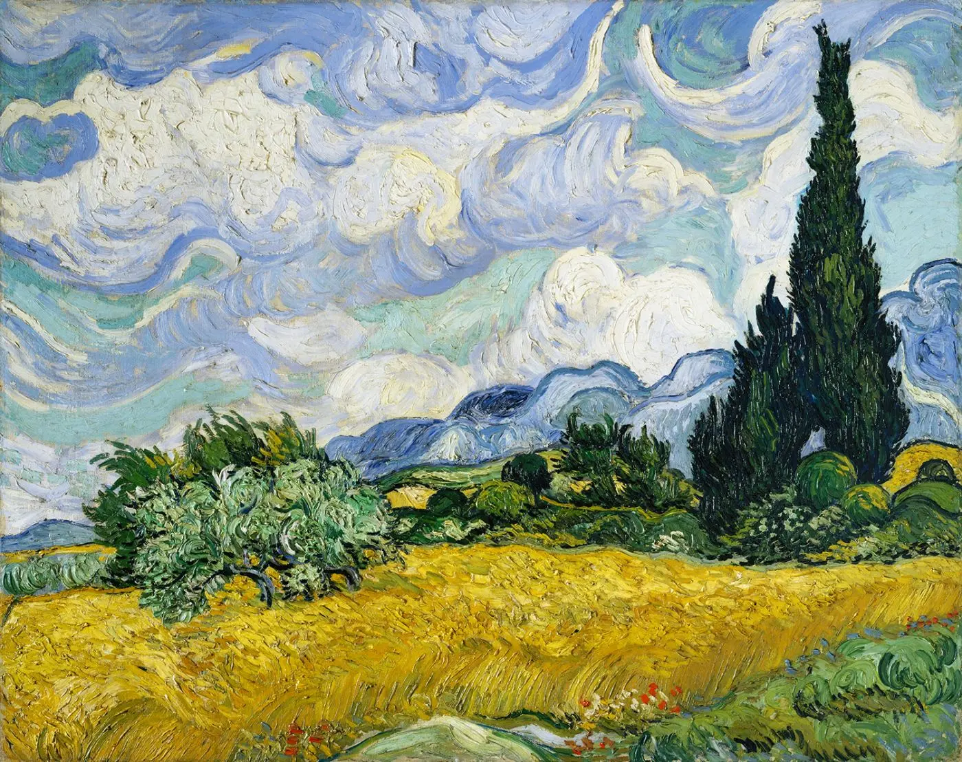 Leinwandbild Wheat fields with cypresses 70 x 100 cm