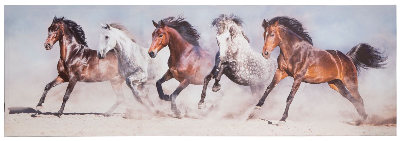 Leinwandbild Cleo Horses 50 x 150 cm