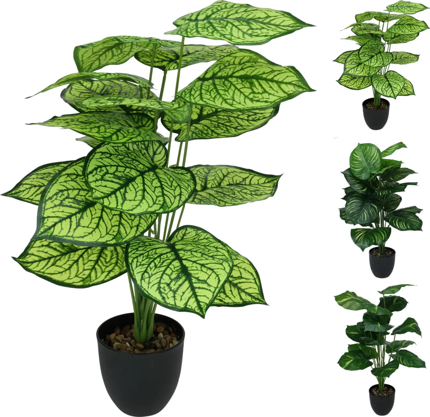 Dekopflanze tropisch 