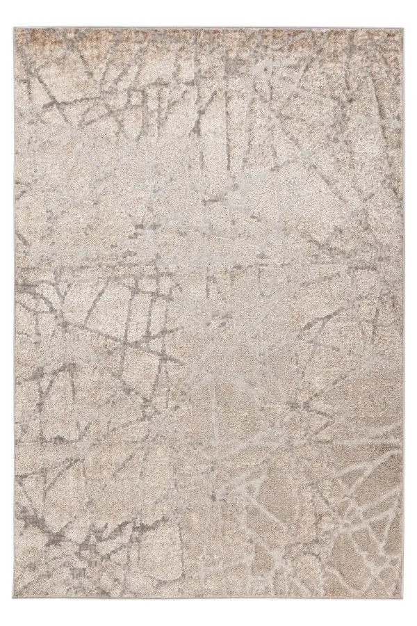 Teppich Milas 160 x 230 cm silber beige