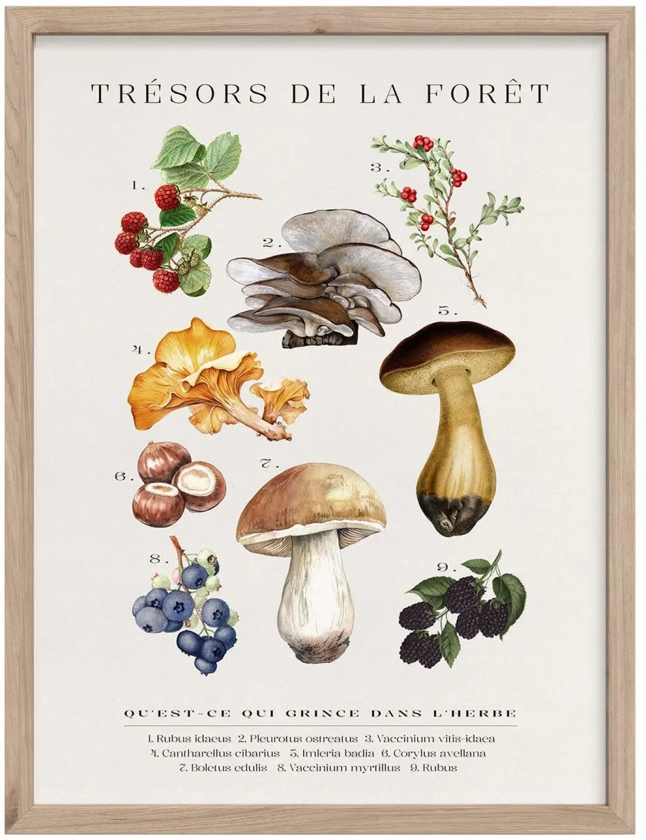 Bild gerahmt Tresors 30 x 40 cm