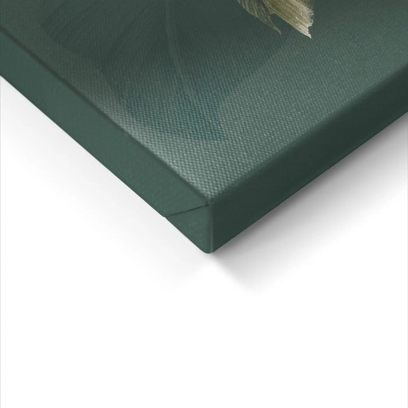 Leinwandbild Green Leafs 60 x 80 cm