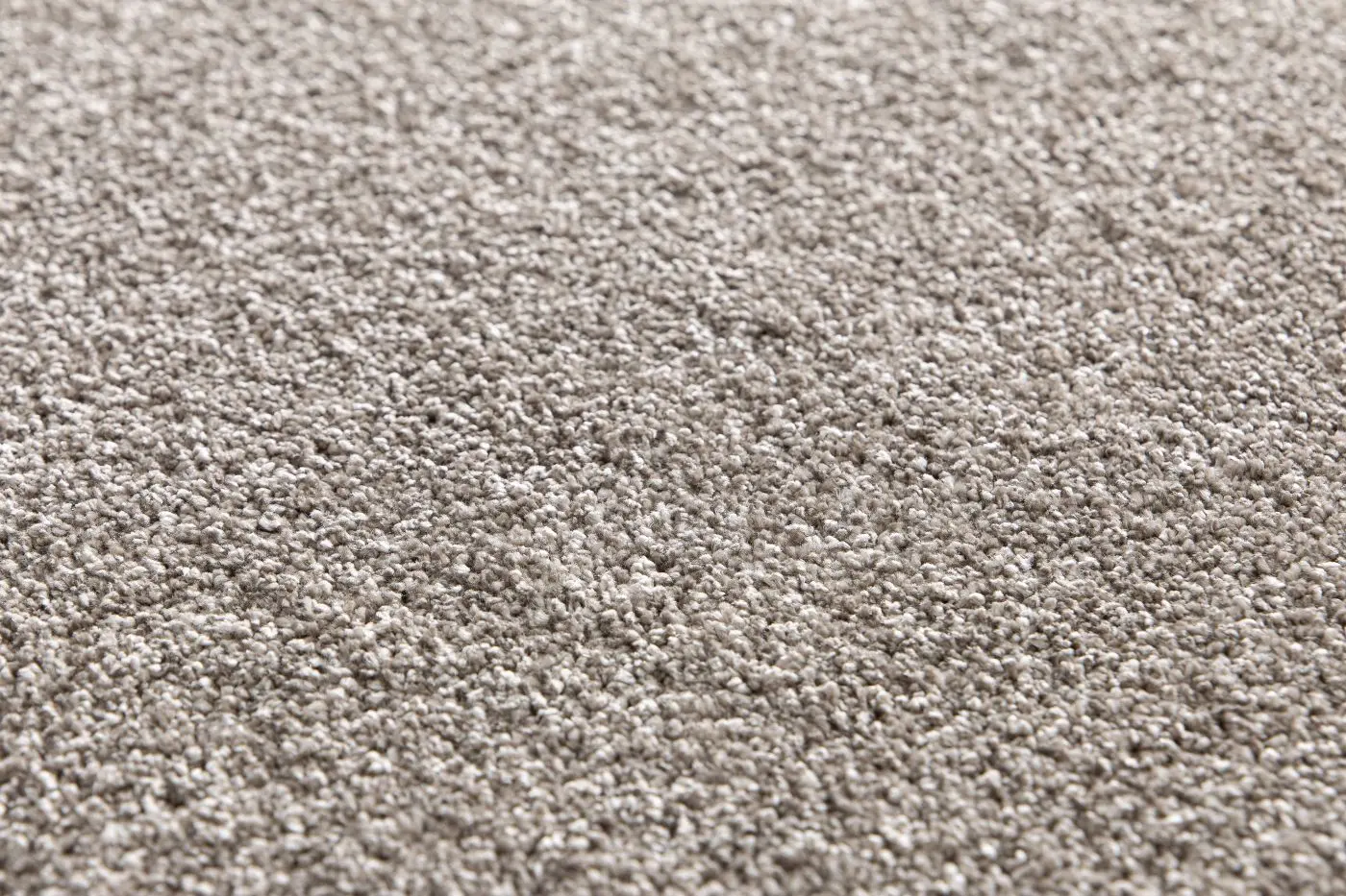 Teppich Vivo 200 x 290 cm