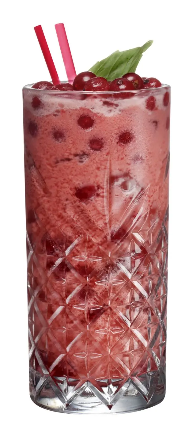 Longdrinkbecher-Set Timeless 295 ml