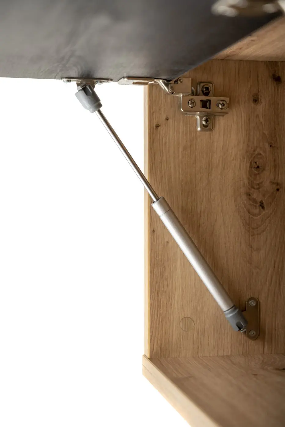 Wandelement Vitruvia Artisan Eiche/schwarz