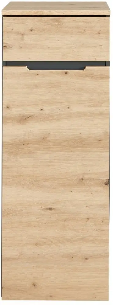 Büroschrank Memphis Artisan Eiche / graphit