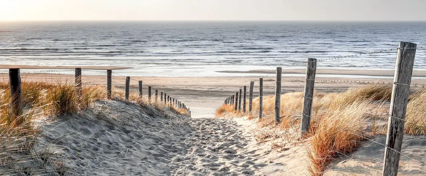 Dekopanel Dunes 30 x 95 cm