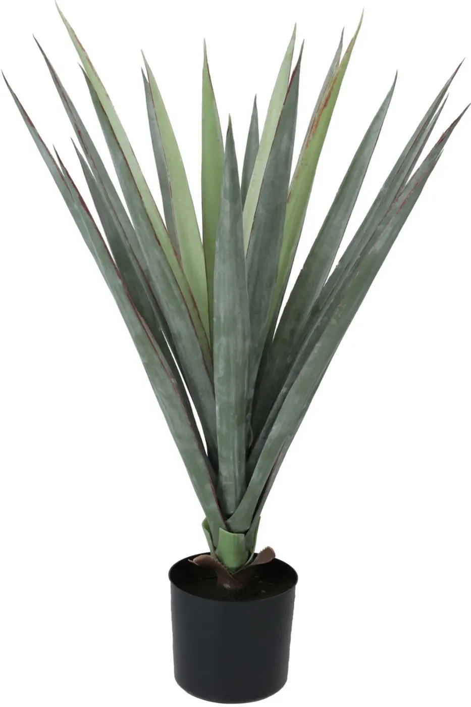 Dekopflanze Sisal 75 cm