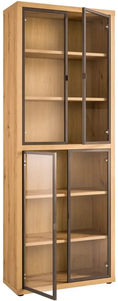 Glastüren-2er-Set Rilega mit Metallrahmen anthrazit 