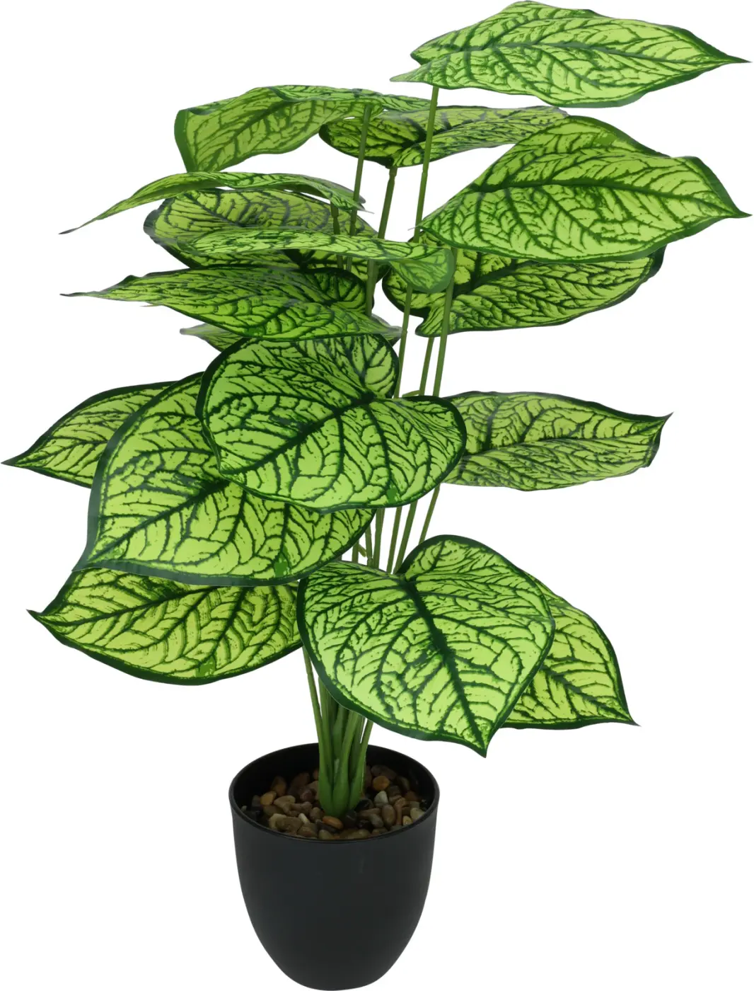 Dekopflanze tropisch 