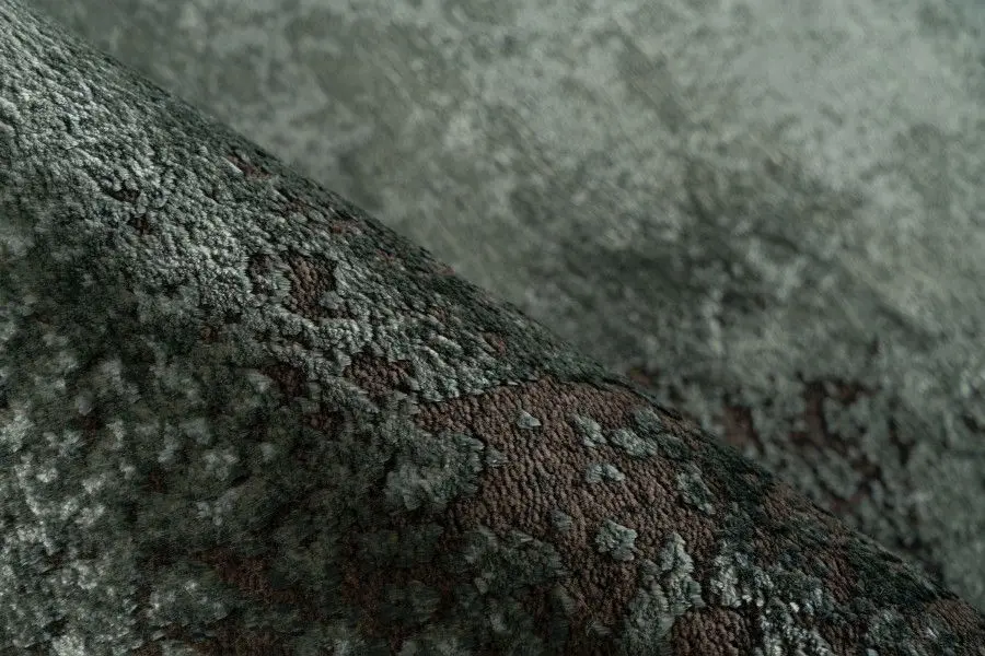 Teppich Elysee 160 x 230 cm onyx grün