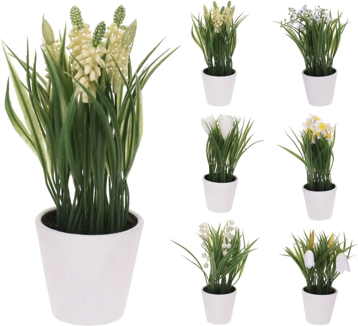 Dekopflanze im Topf 24 cm