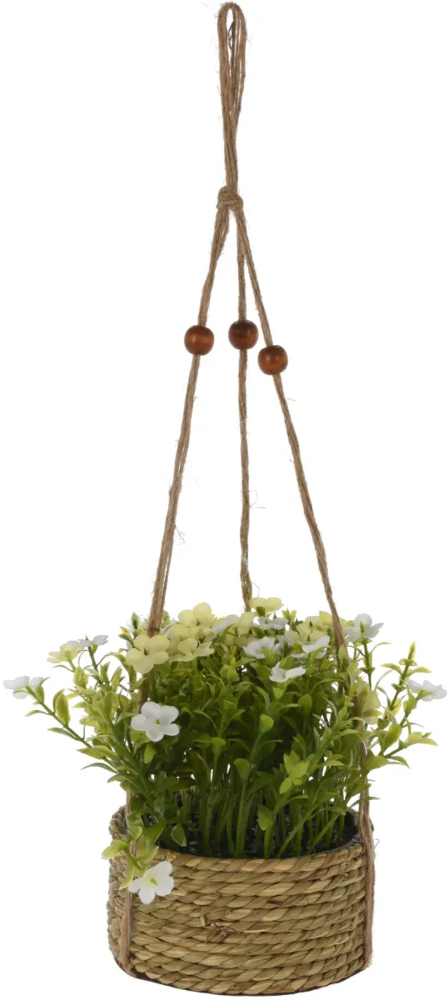 Dekopflanze in Hängeampel 