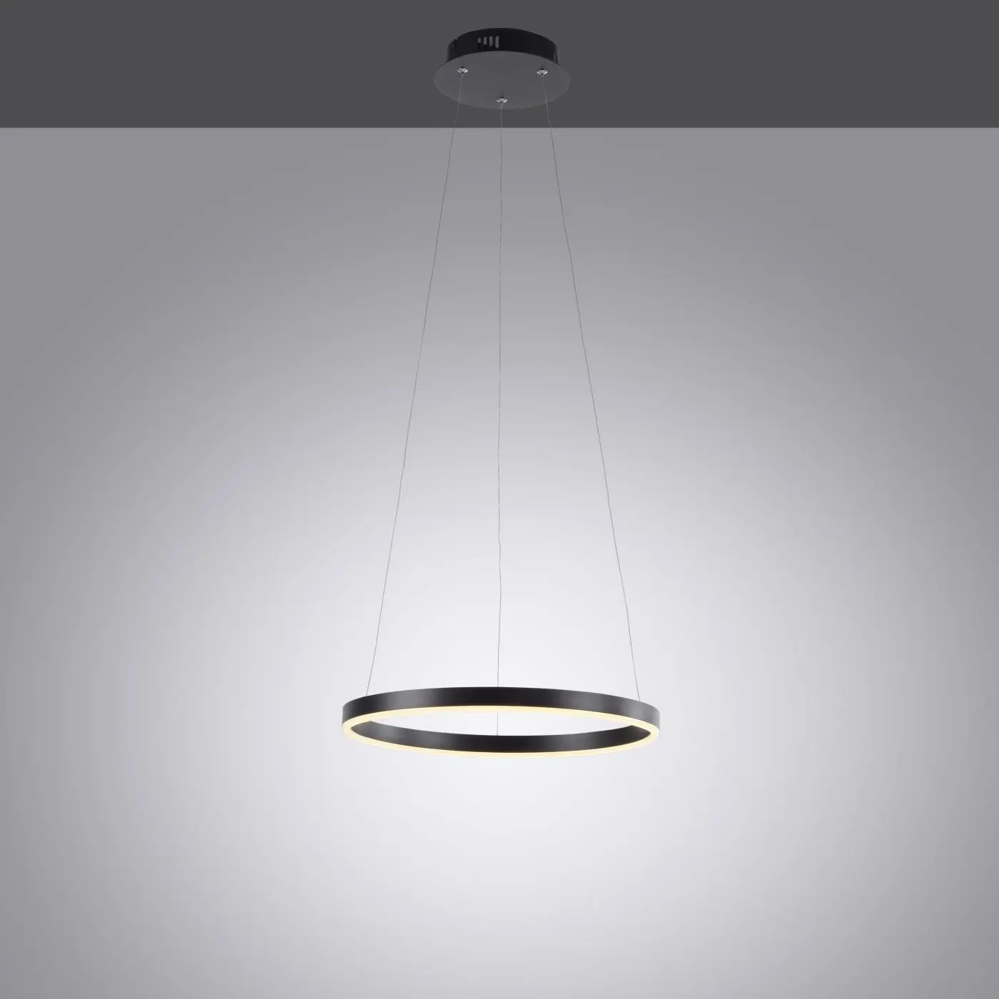 LED-Pendelleuchte Ritus schwarz