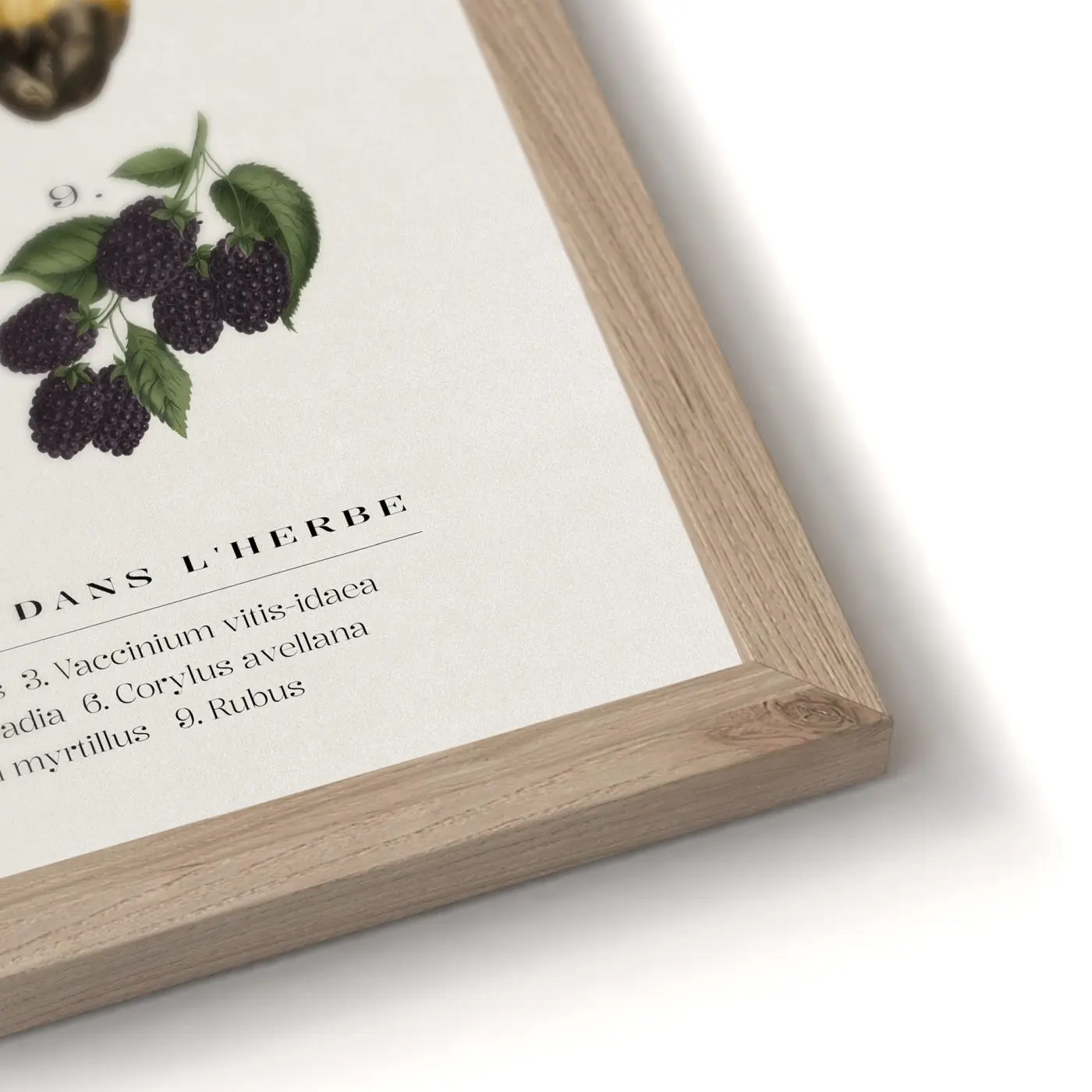 Bild gerahmt Tresors 30 x 40 cm