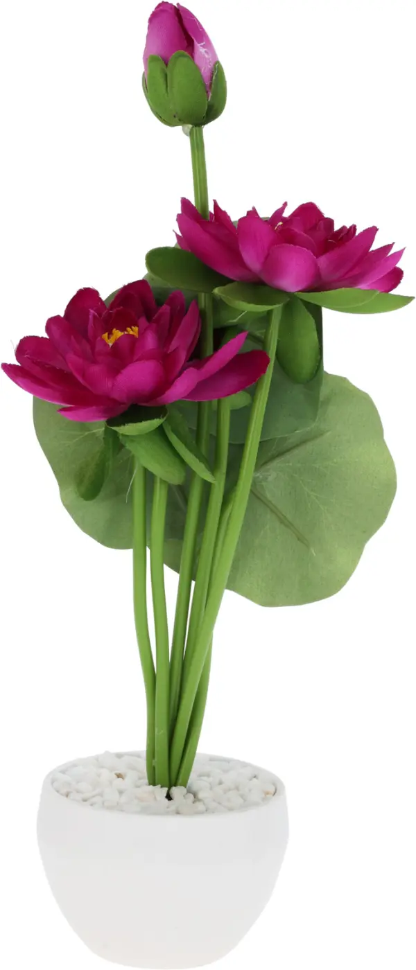 Deko-Pfingstrosen im Topf 