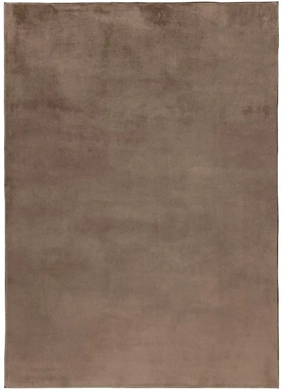 Teppich Loft 120 x 170 cm taupe