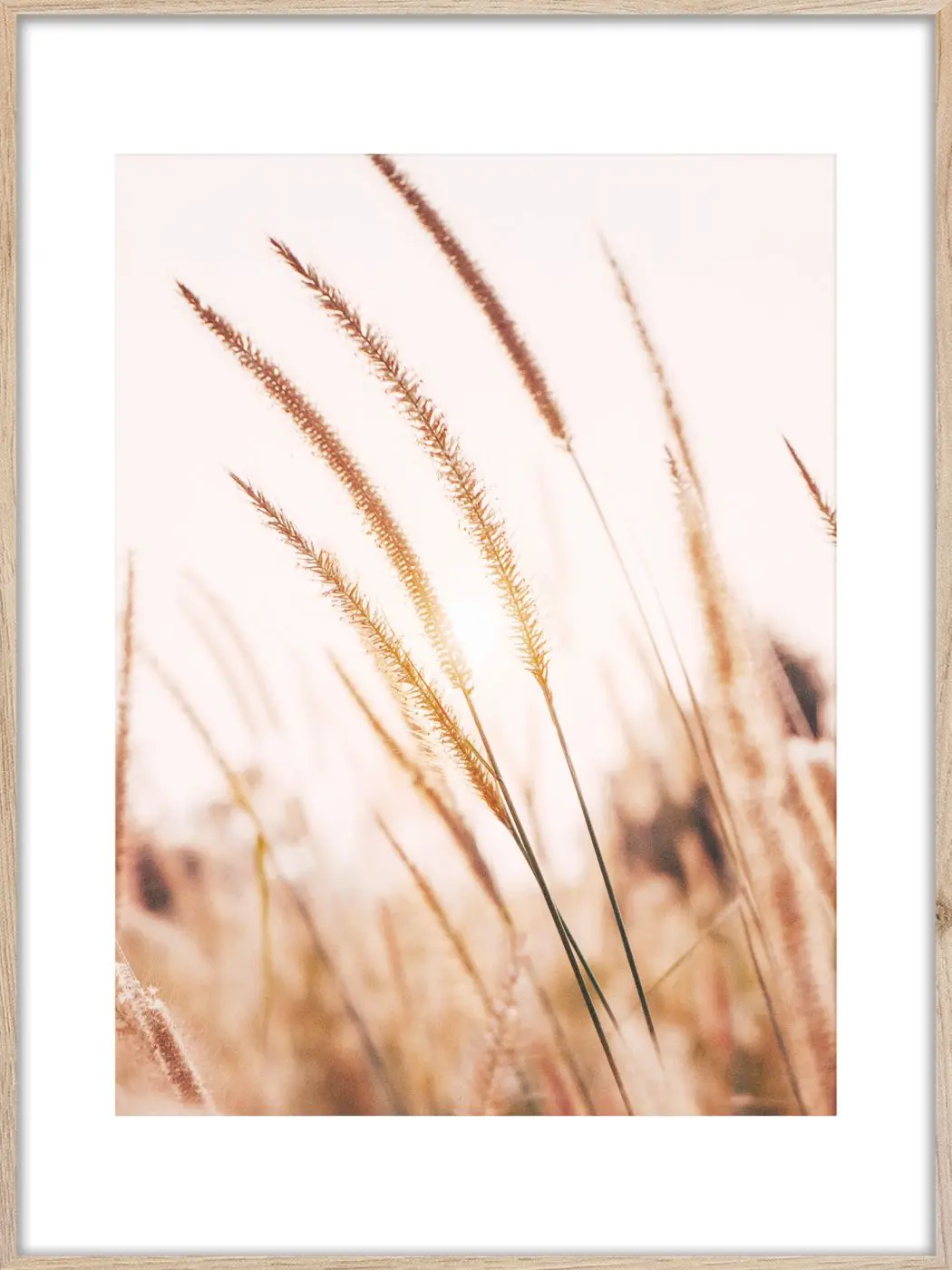 Bild Grasses 50 x 70 cm