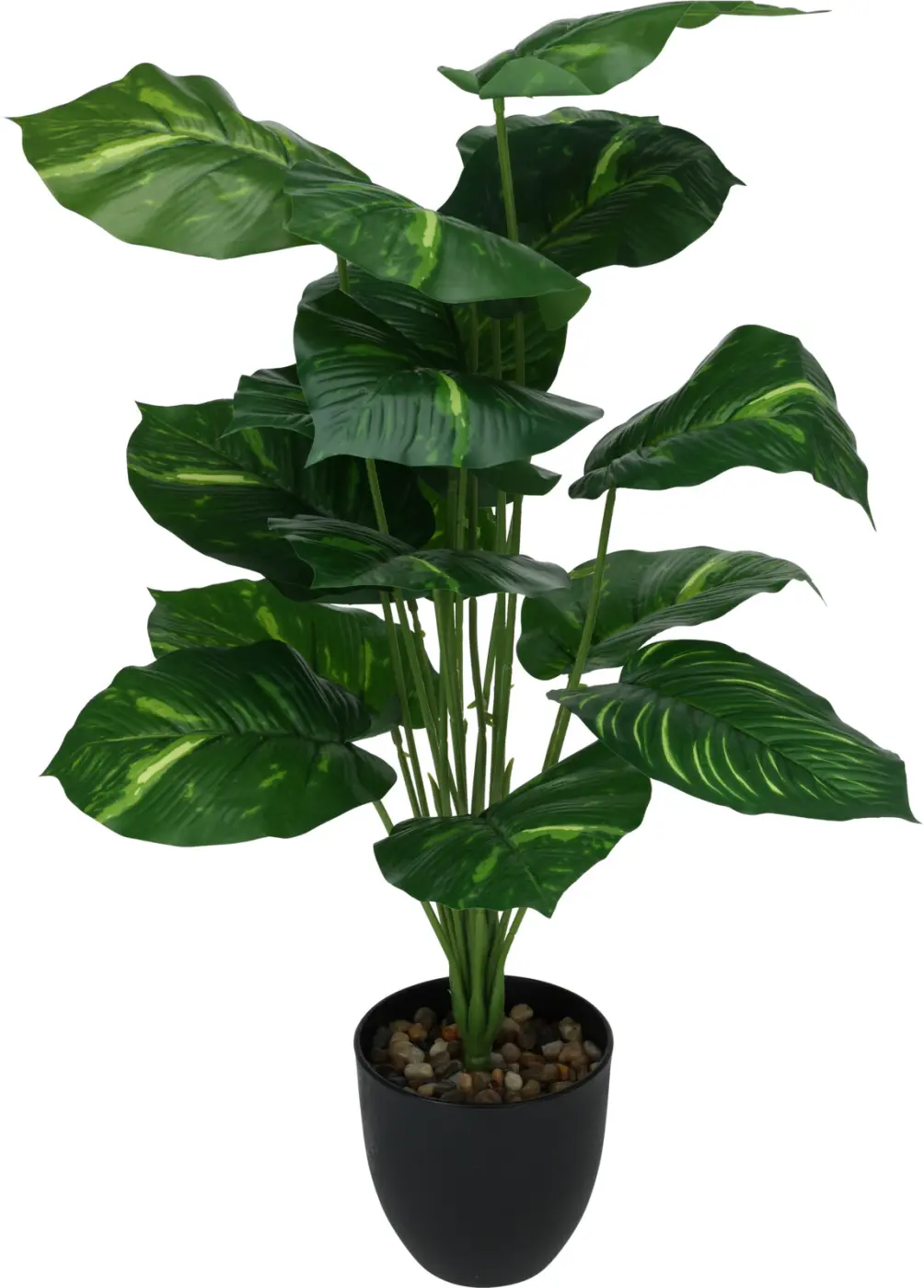 Dekopflanze tropisch 