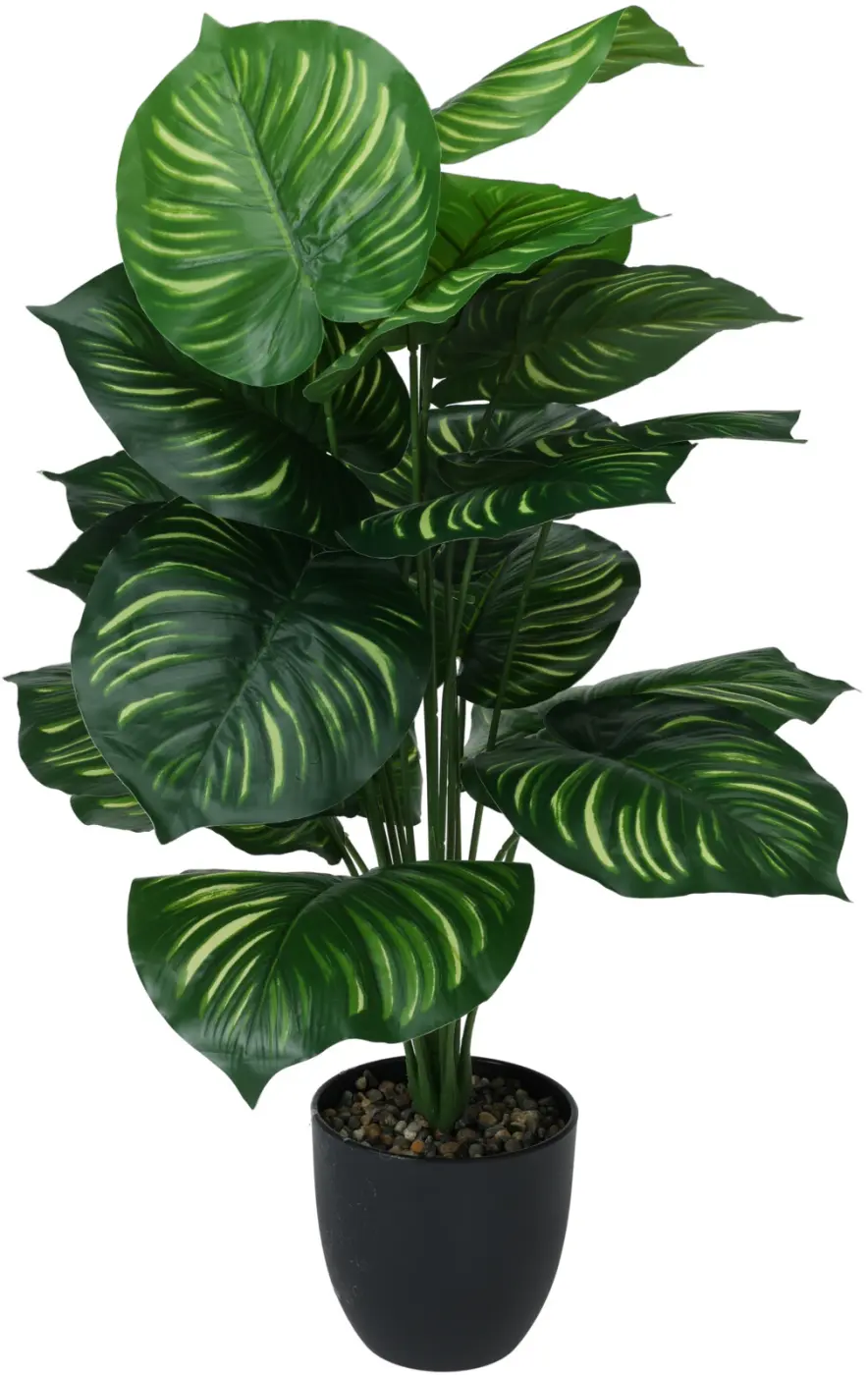 Dekopflanze tropisch 