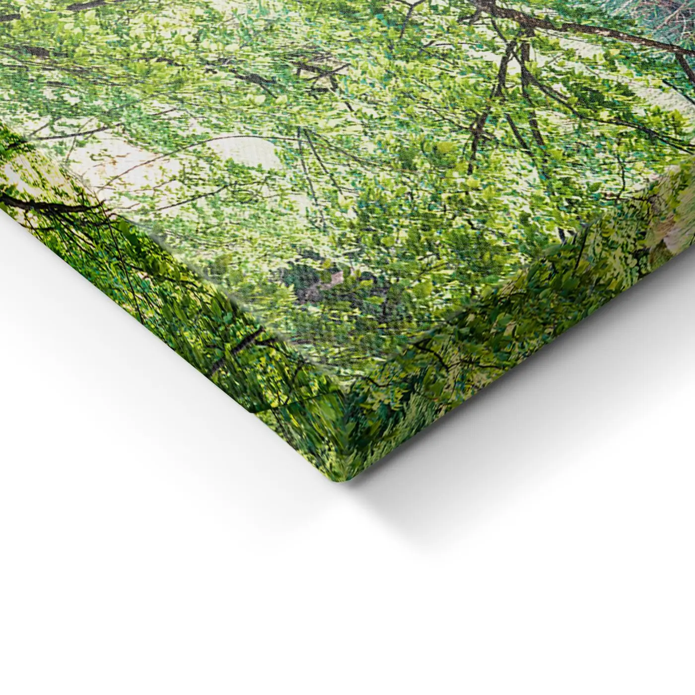 Leinwandbild Lake Path 85 x 113 cm