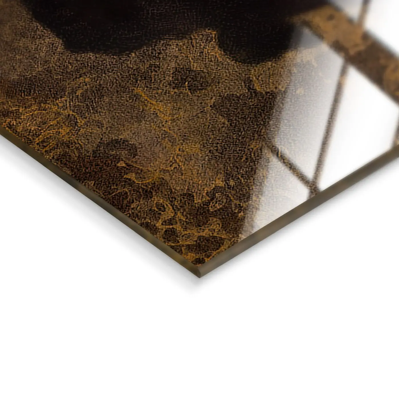 Glasbild Nala 80 x 120 cm