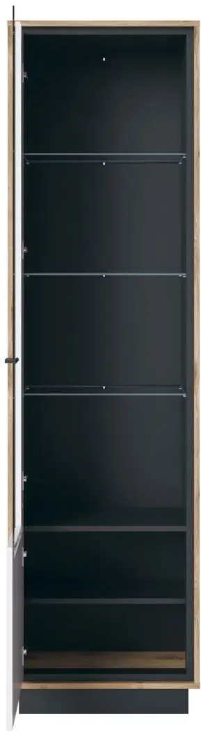 Vitrine Mestre 57 x 206 x 37 cm