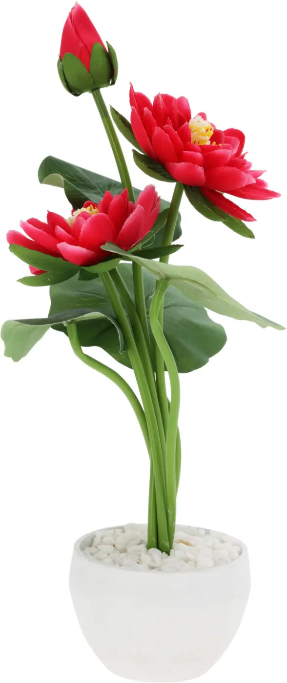 Deko-Pfingstrosen im Topf 