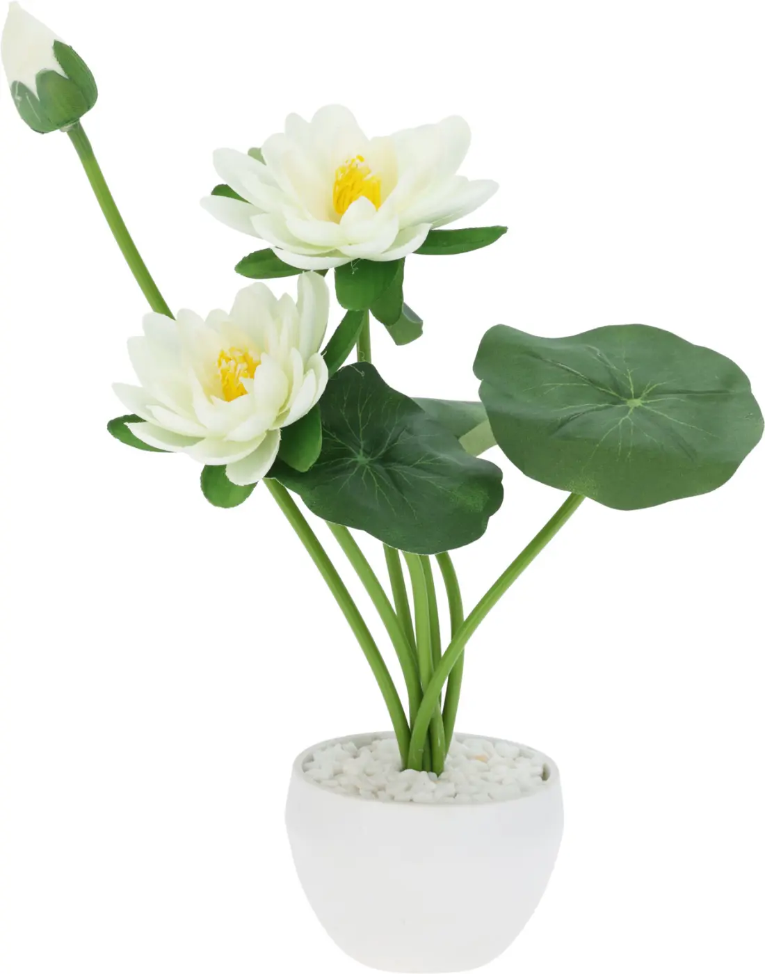 Deko-Pfingstrosen im Topf 