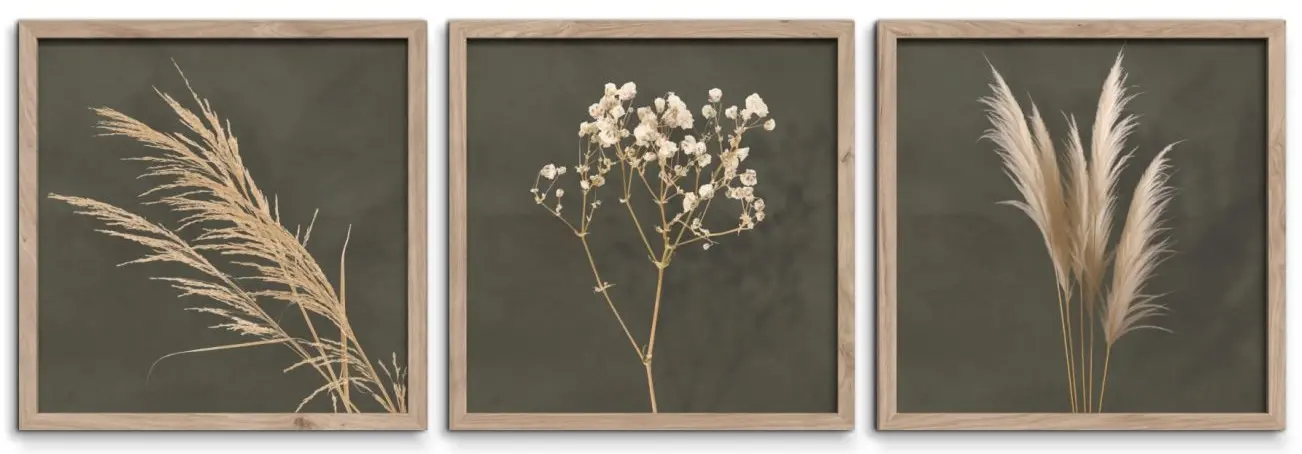 Bild Pampas 3er Set 