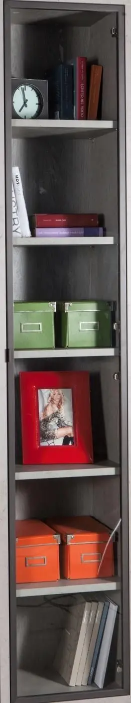 Metallrahmentür Disegno graphit