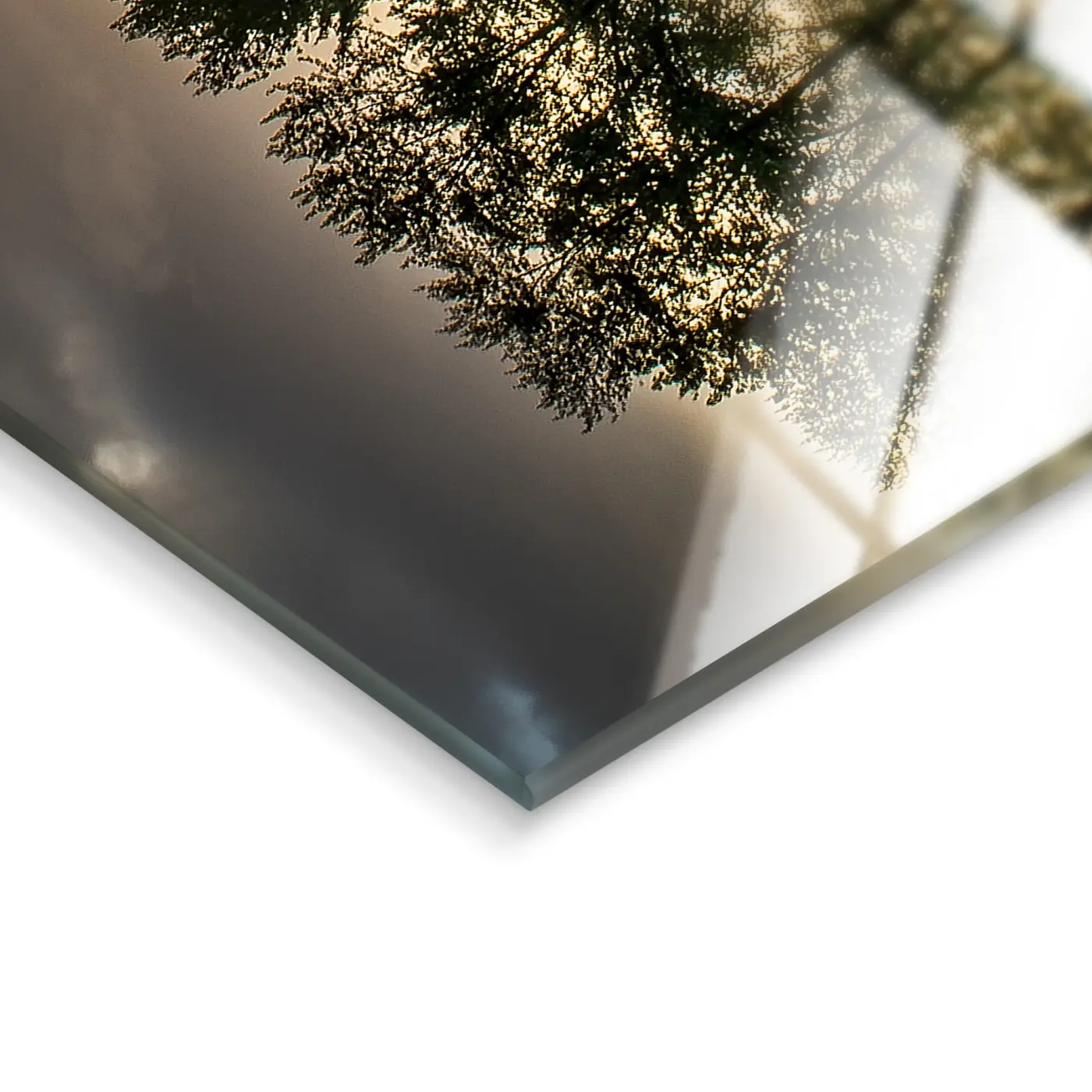 Glasbild Nature 50 x 125 cm